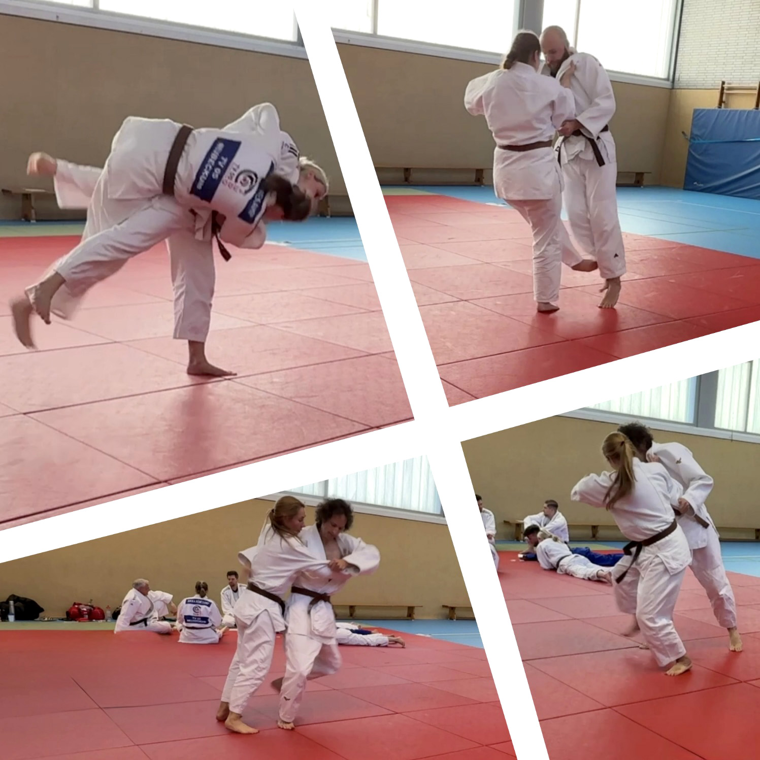 Neue Wege erfolgreich beschritten